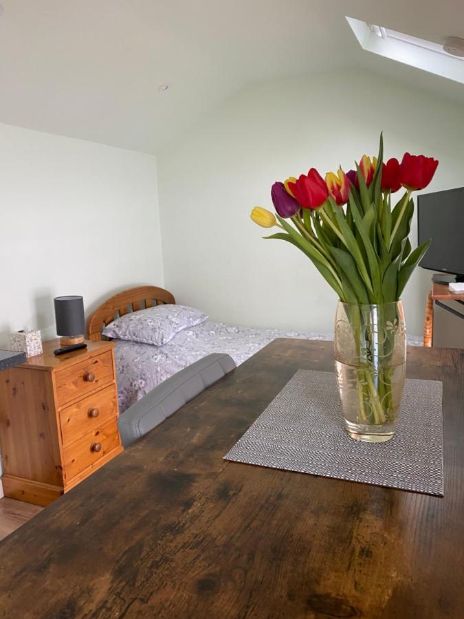 コルチェスターCosy 1 Bed Garden Annexeアパートメント エクステリア 写真